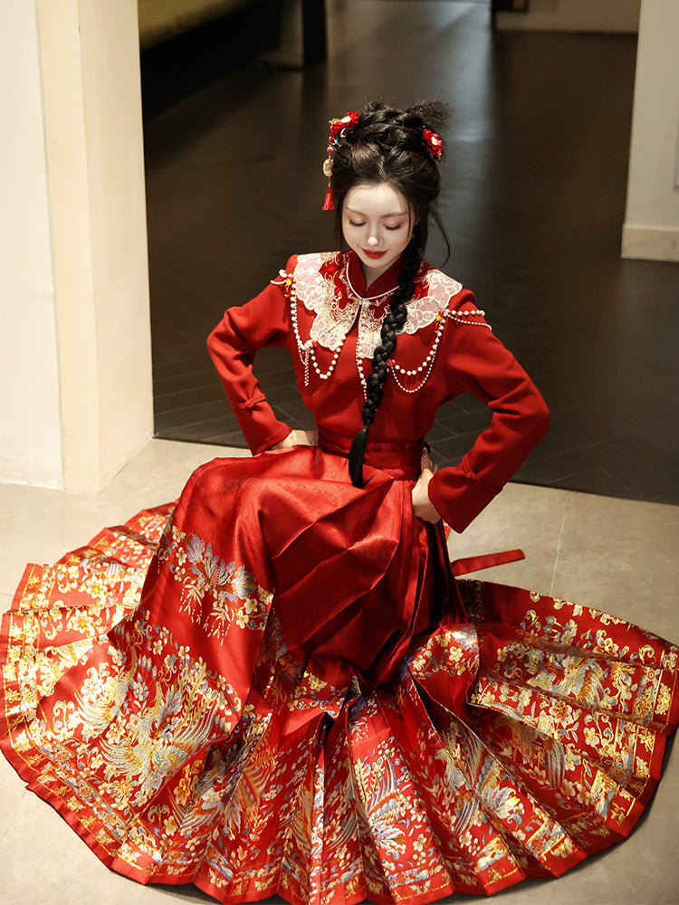 Ming Dynasty Mamianqun | Traditional Chinese Modern Hanfu Dress in Red 翠羽红